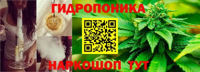 дурь Новодвинск