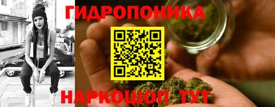дурь Новодвинск