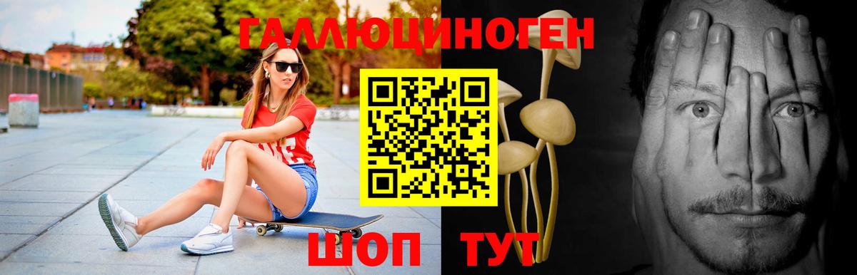 Торжок  Псилоцибиновые грибы мицелий  Галлюциногенные грибы Psilocybe  Вход с VPN 