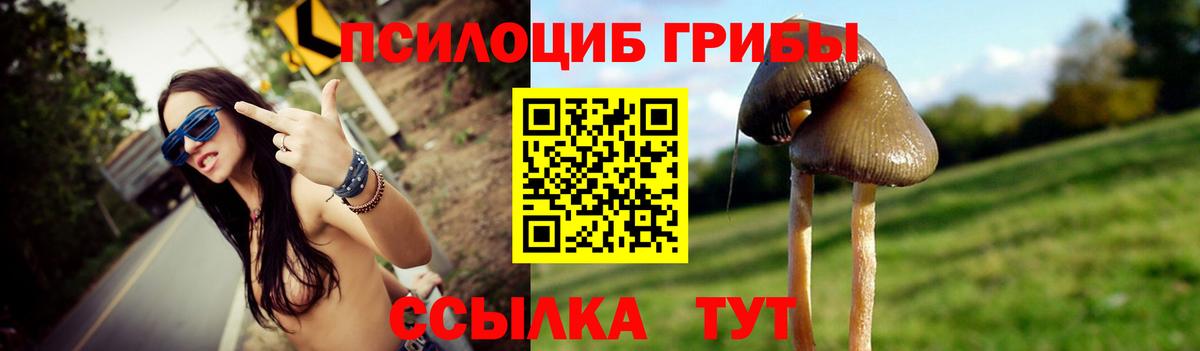 Псилоцибиновые грибы прущие грибы Торжок