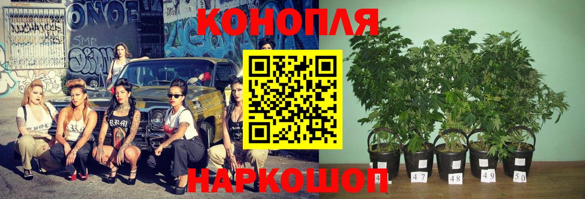 Торжок  МАРИХУАНА индика  Марихуана OG Kush  Вход с VPN  Марихуана сатива  Канабис Amnesia 